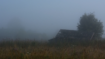 dawn ... / ***