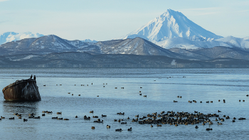 Vilyuchinsky volcano / ***