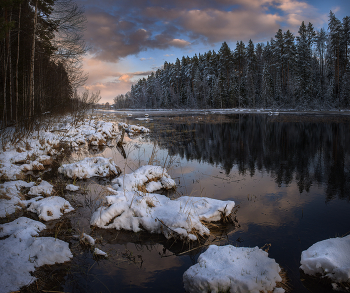 Evening light / ***