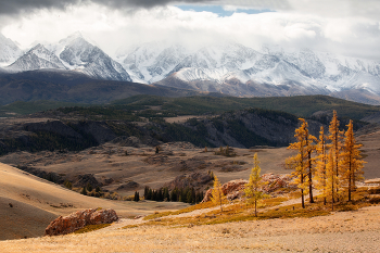 Altai autumn / ***