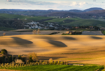 Evening Landscape / ***