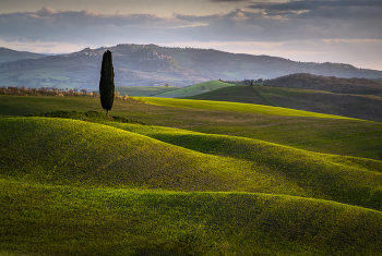 Among the hills / ***