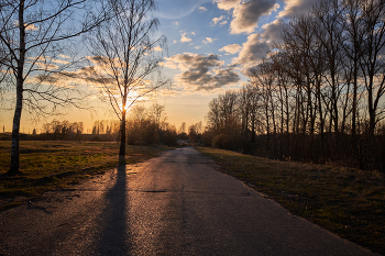 Sunset light / ***