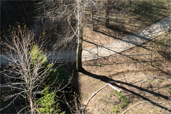 Border / ***