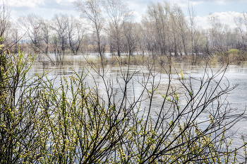 High Water / ***