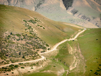 Road / ***