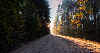 Road to the Sun / ***