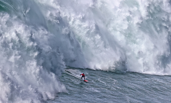 Surf Profi / ***