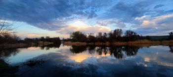 Sunset / ***