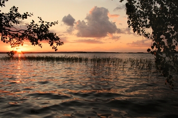 July morning / ***