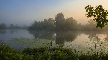 At dawn. / ***