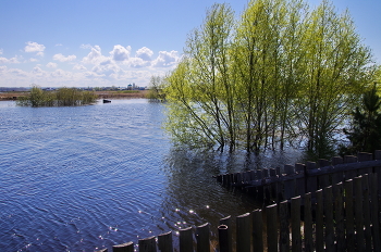 High Water / ***