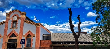 Reus - Biblioteca (antic matadero) - Baix Camp / Reus - Biblioteca (antic matadero) - Baix Camp