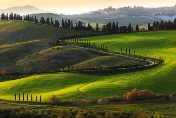 Road / ***