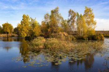 Islet / ***