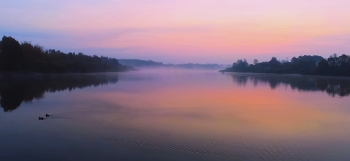 Sunrise in the forest / ***