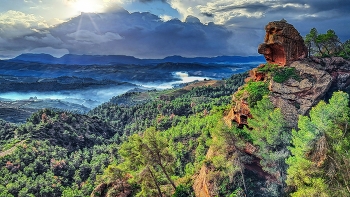 El Lloar - els Rogerals - Priorat / El Lloar - els Rogerals - Priorat