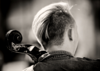 curl / ***