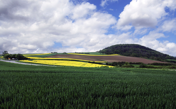fields / ***