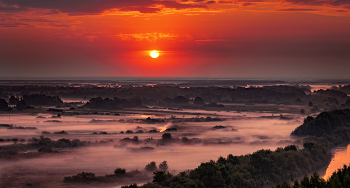 scarlet dawn / ***