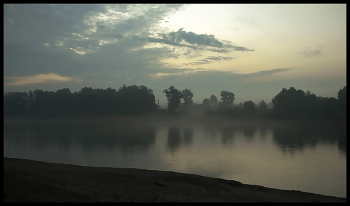 Sunrise in the forest / ***