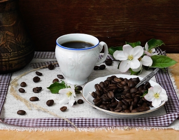 coffee / ***