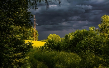Before the storm / ***