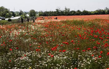 May morning / ***