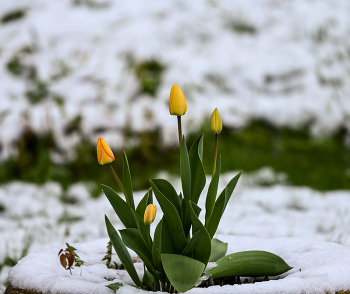 Weather / ***