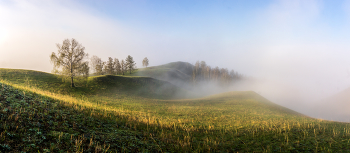 Foggy morning / ***
