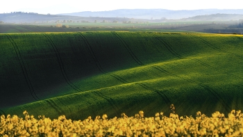 Moravian Fields / ***