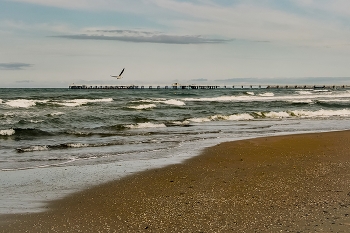 free-soaring / ***