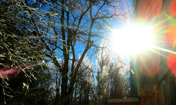 Winter landscape / ***