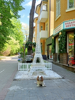 Parisian / ***