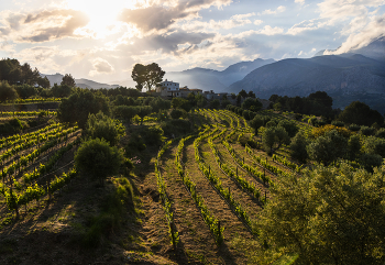 Evening Landscape / ***
