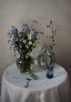 With the forget-me ... / ......................................