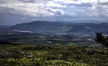 The Golan Heights / ***