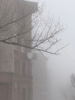 Donbass / ***