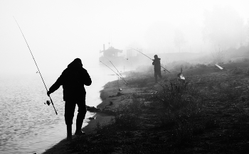 Fisher / ***