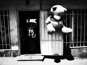 Toy / ***