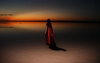 A study in Scarlet / ***