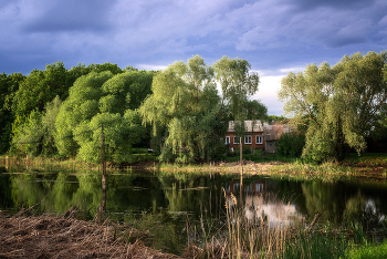 Old pond ... / ***
