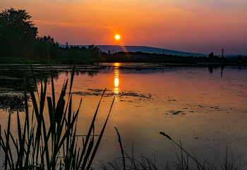 Evening Sun / ***