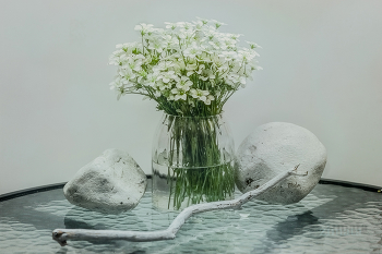 White still life / ***
