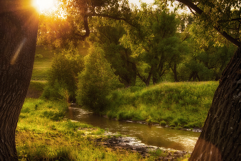 Evening light / ***