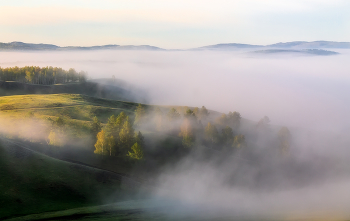 Ordinary Morning / ***