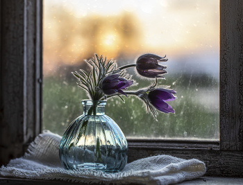At sunset ... / ***