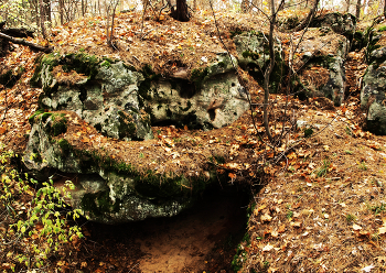 The Sleeping Dragon / ***