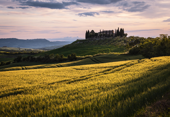 Evening Landscape / ***