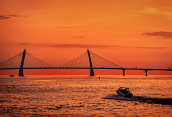 Orange sunset / ***